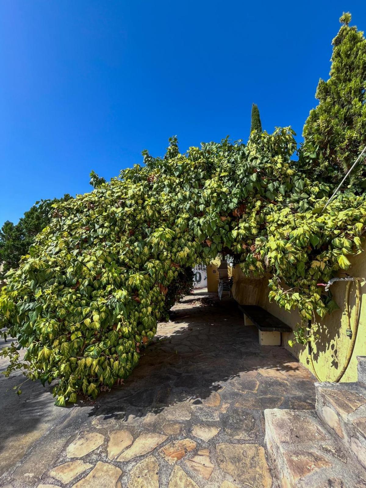 شقة Casa Mar Benissa Calpe المظهر الخارجي الصورة