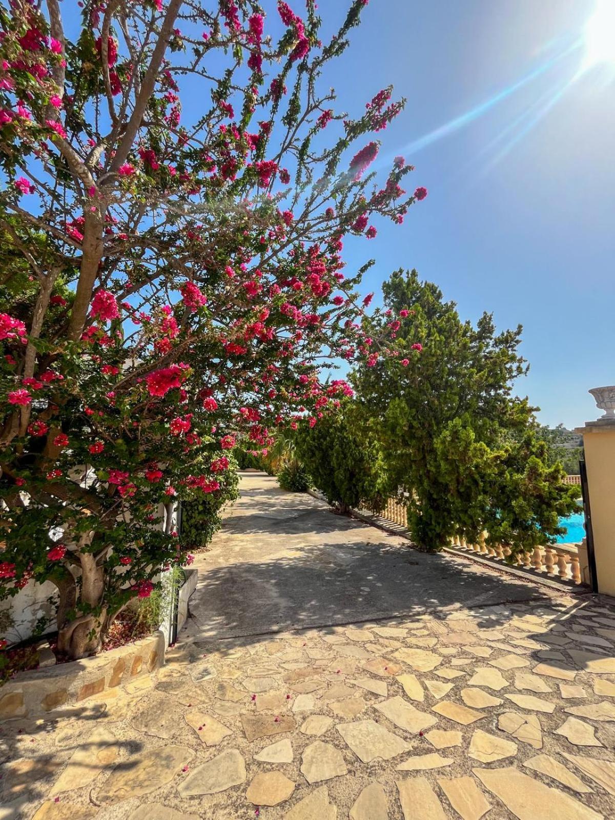 شقة Casa Mar Benissa Calpe المظهر الخارجي الصورة